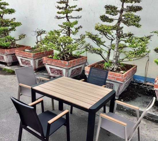 Bộ bàn ghế mẫu 15